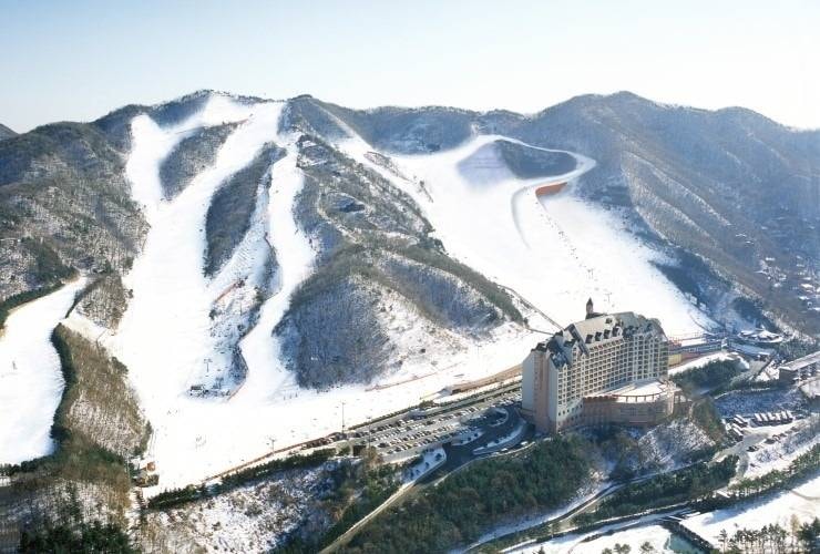 Yangji Pine Resort trail map